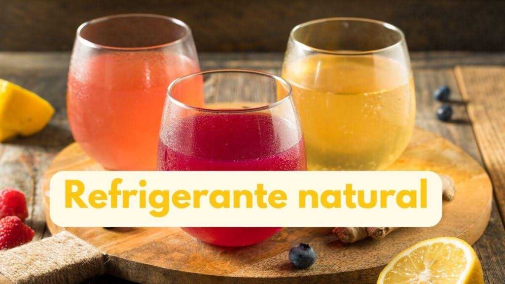 Refrigerante natural: Alternativas deliciosas e saudáveis
