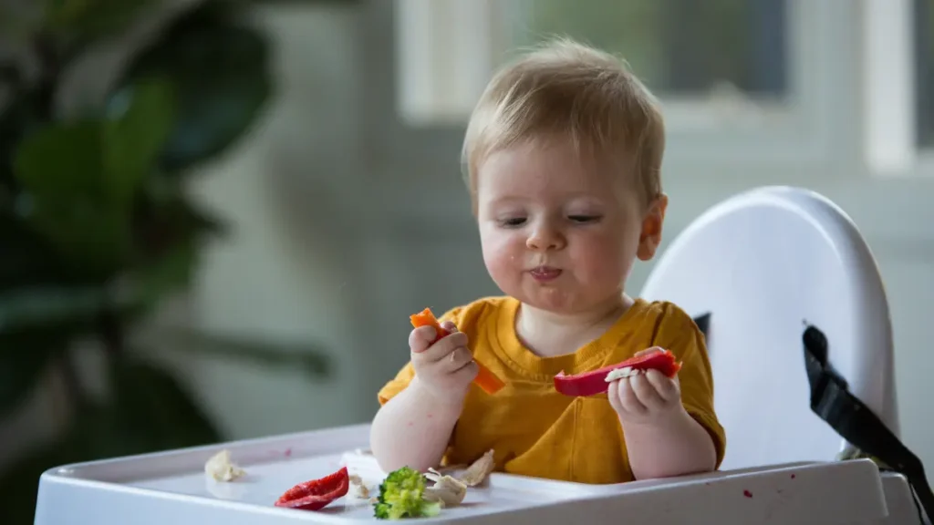 Como organizar a rotina alimentar do bebê