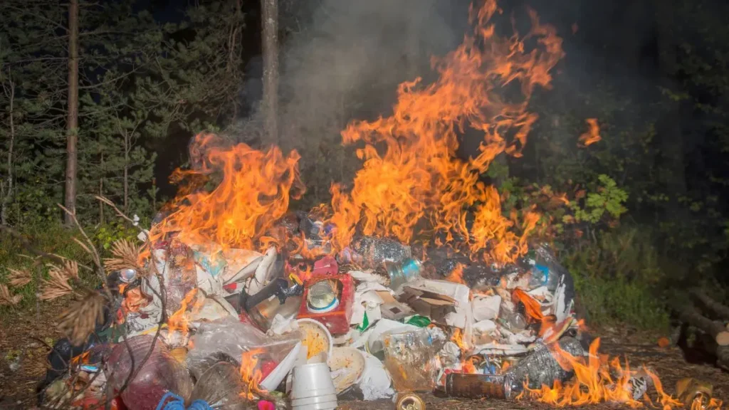 Queimar lixo é crime ambiental