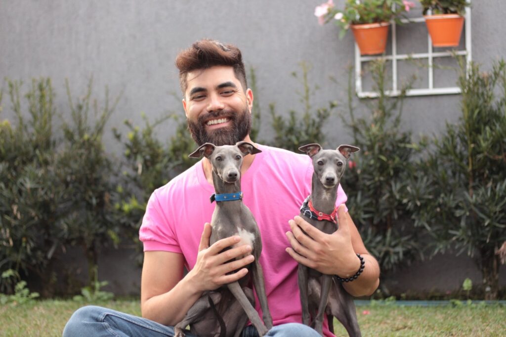 Galgo Italiano: inteligente, amoroso e de alta linhagem